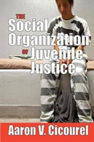 Social Organization of Juvenile Justice