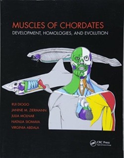 Muscles of Chordates