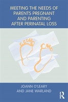 Meeting the Needs of Parents Pregnant and Parenting After Perinatal Loss