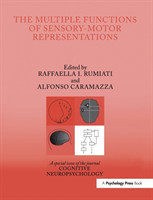 Multiple Functions of Sensory-Motor Representations