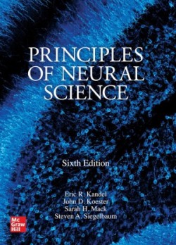 Principles of Neural Science,6th ed.