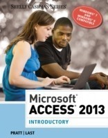 Microsoft (R) Access 2013