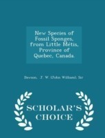 New Species of Fossil Sponges, from Little Metis, Province of Quebec, Canada. - Scholar's Choice Edition