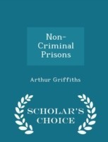 Non-Criminal Prisons - Scholar's Choice Edition