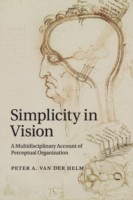 Simplicity in Vision