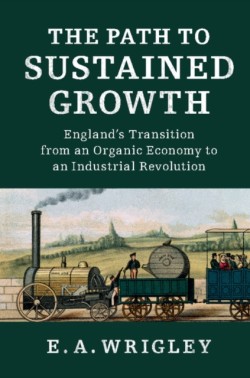 Path to Sustained Growth