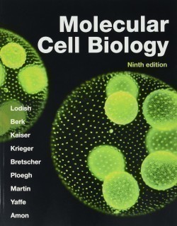 Molecular Cell Biology, 9th ed.