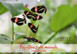 Papillons Du Monde, Vus De Pres 2017