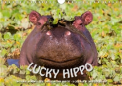 Emotional Moments: Lucky Hippo / UK-Version 2018