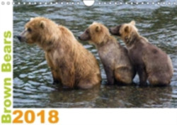 Brown Bears 2018 UK-Version 2018