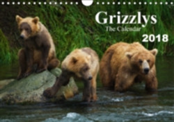 Grizzlys - the Calendar UK-Version 2018
