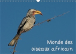 Monde Des Oiseaux Africain 2018