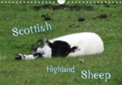 Scottish Highland Sheep (UK Version) 2018