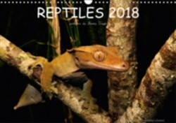 Reptiles / UK-Version 2018