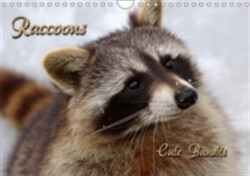 Raccoons / UK-Version 2018