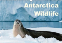 Antarctica Wildlife / UK-Version 2018