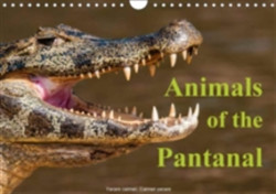 Animals of the Pantanal / UK Version 2018