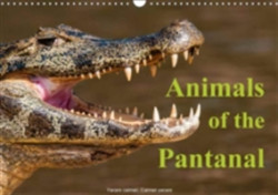 Animals of the Pantanal / UK Version 2018