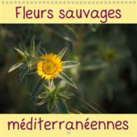Fleurs Sauvages Mediterraneennes 2018