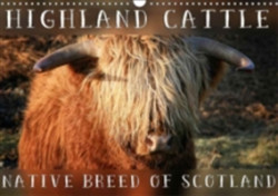 Highland Cattle - Native Breed of Scotland 2018