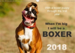 When I'm Big I Will be a Boxer / UK-Version 2018