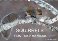 Squirrels / UK-Version 2018