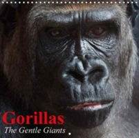 Gorillas * the Gentle Giants 2018
