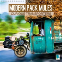 Modern Pack Mules: Curious Transporters 2018