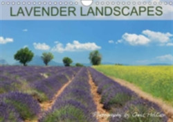 Lavender Landscapes 2018