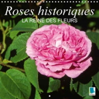 Roses Historiques - La Reine Des Fleurs 2018