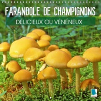 Farandole De Champignons - Delicieux Ou Veneneux 2018