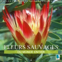 Fleurs Sauvages Du Monde Entier 2018