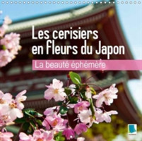 Beaute Ephemere - Les Cerisiers En Fleurs Du Japon 2018