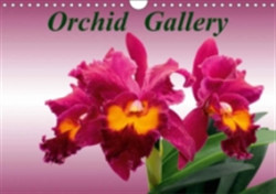 Orchid Gallery 2018