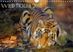 Wild Tigers 2018 2018