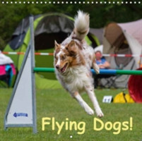 Flying Dogs! 2018
