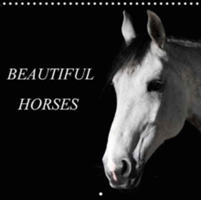 Beautiful Horses 2018