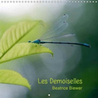 Demoiselles 2018