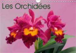 Orchidees 2018