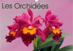 Orchidees 2018