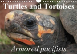 Turtles and Tortoises - Armored Pacifists 2018