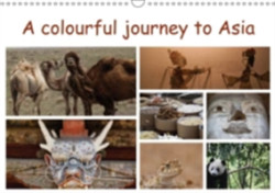 Colourful Journey to Asia 2018