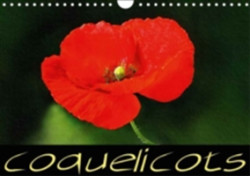 Coquelicots 2018