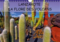 Lanzarote La Flore Des Volcans 2018