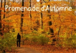 Promenade D'automne 2018