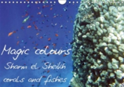 Magic Colours Sharm El Sheikh Corals and Fishes 2018