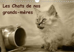 Chats De Nos Grands-Meres 2018