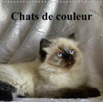 Chats De Couleur 2018