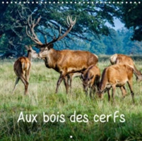 Aux Bois Des Cerfs 2018