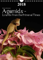 Agamids - Lizards from the Primeval Times 2018